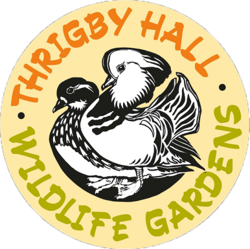Thrigby Hall 
